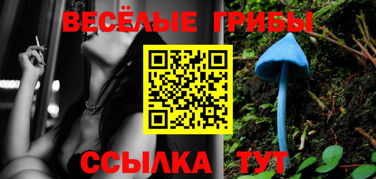 Галлюциногенные грибы Psilocybe  Вход с VPN  Гусев 